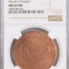 NGC2880788-005_OBV EGYPT , MARTYRS 50 & 100 Pounds 2018 Both Off-Metal Strikes in Copper