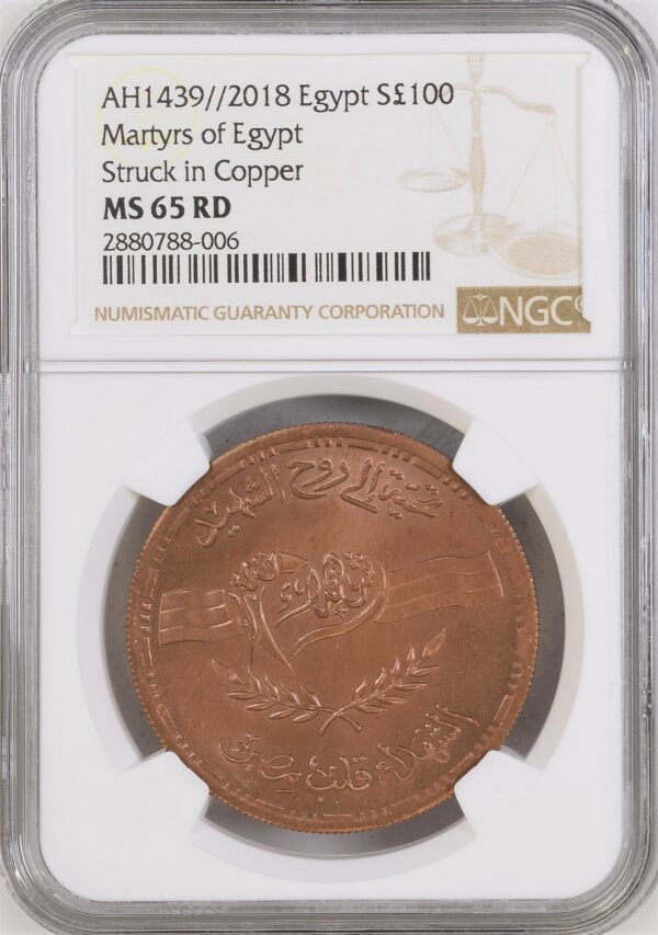 NGC2880788-006_OBV Egypt, Martyrs 50 & 100 Pounds 2018 Both Off-Metal Strikes in Copper